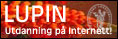 Legeforeningens utdanning p Internett